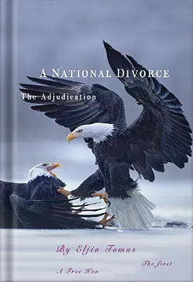 A-National-Divorce-2021 by Platoon Publishing Group  LLC